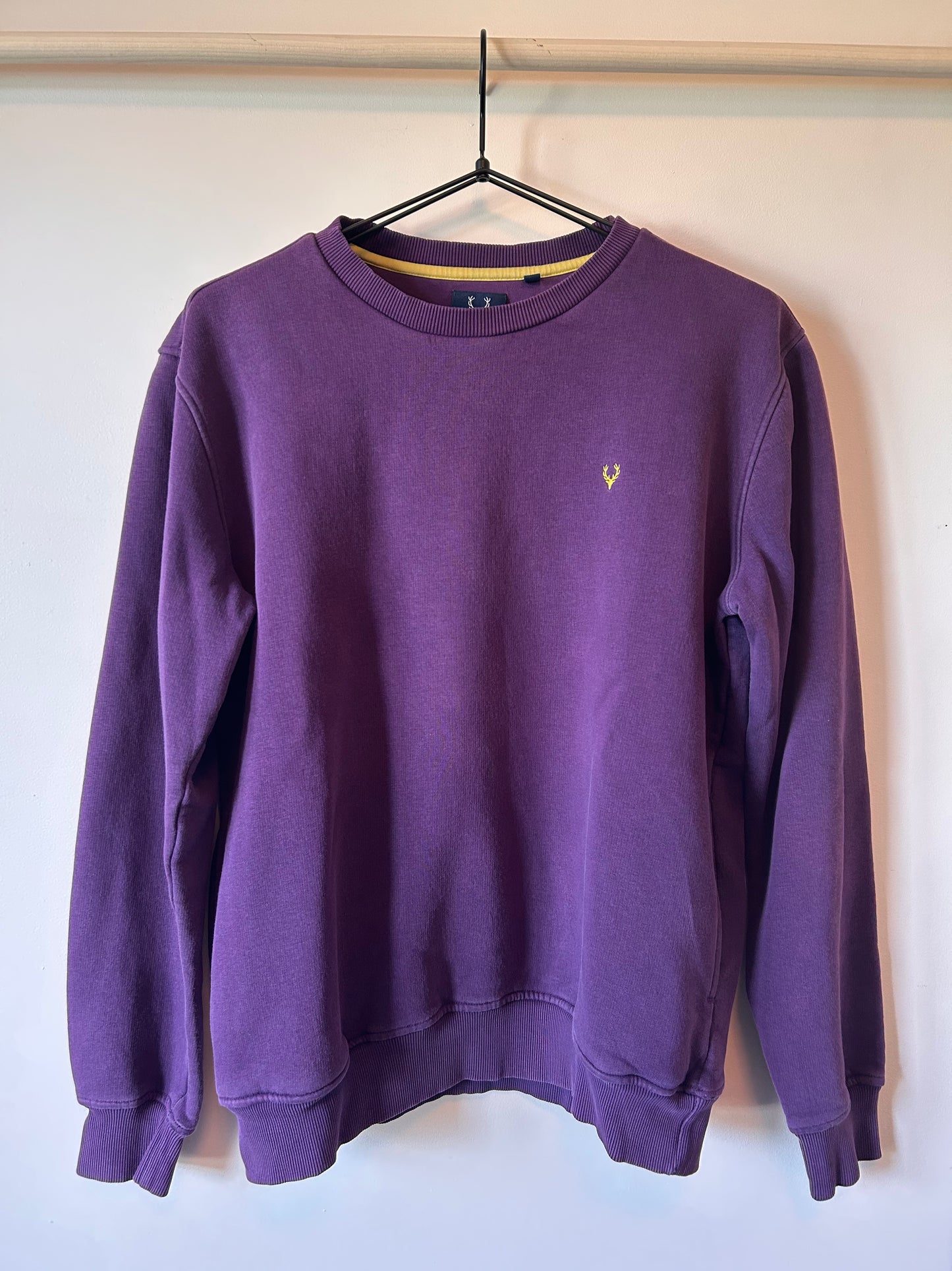 Allen Solly Purple Crewneck (M)