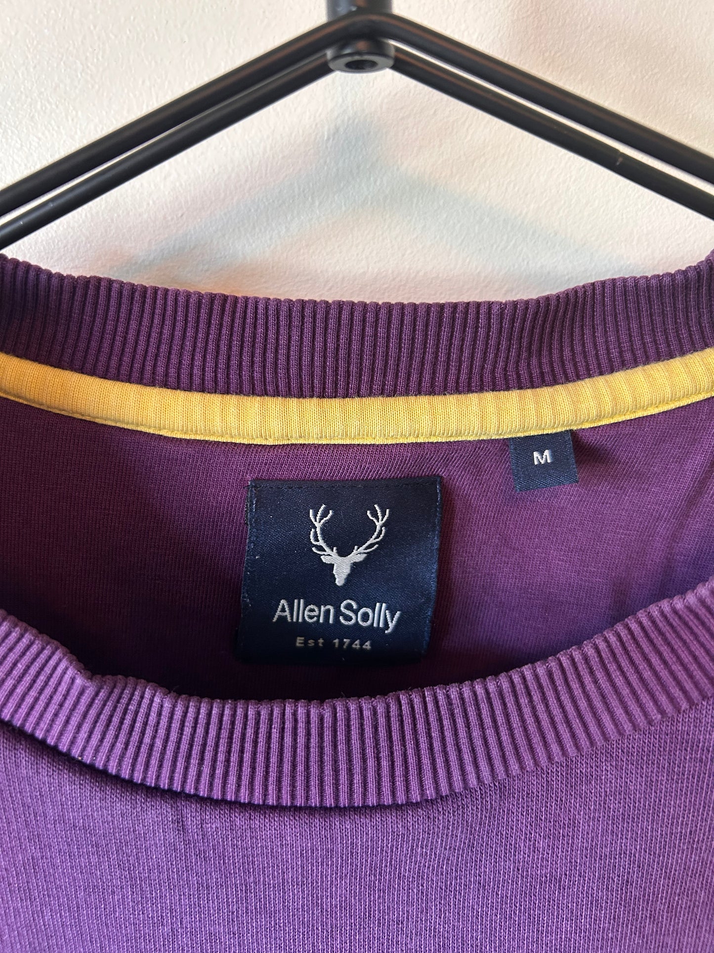Allen Solly Purple Crewneck (M)